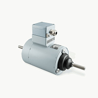 DC СОЛЕНОИД (СПЕЦИАЛЬНЫЕ УСТРОЙСТВА) GTCE100AGDA01 Magnet - Schultz